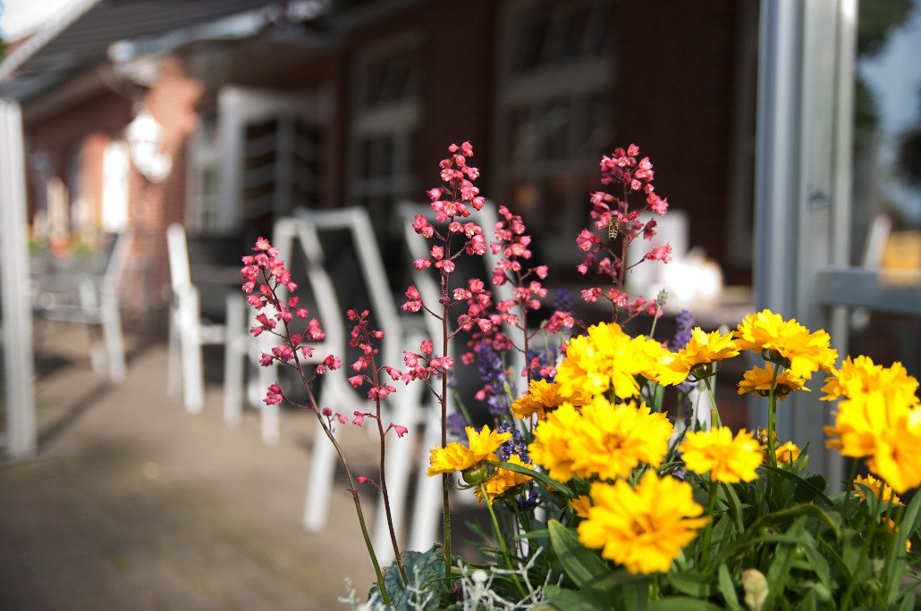 Startseite Gasthof Hense